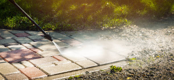 Animal Enclosure Cleaning